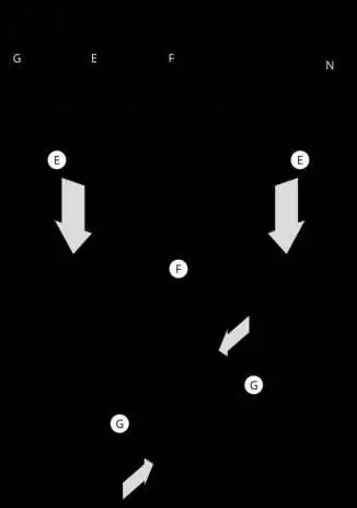 Leg assembly