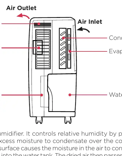 Dehumidifier internal components and airflow