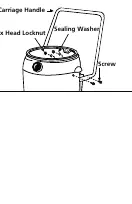 Carriage handle assembly