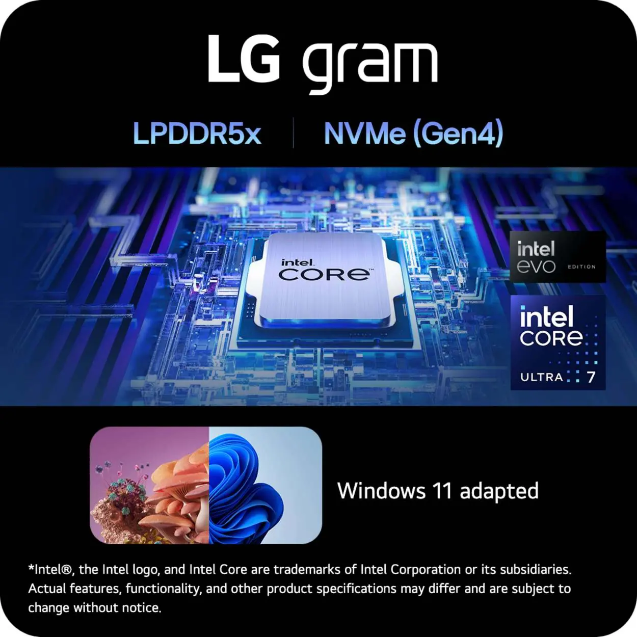 Hardware specifications including processor and memory type.