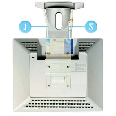 Rear panel ports