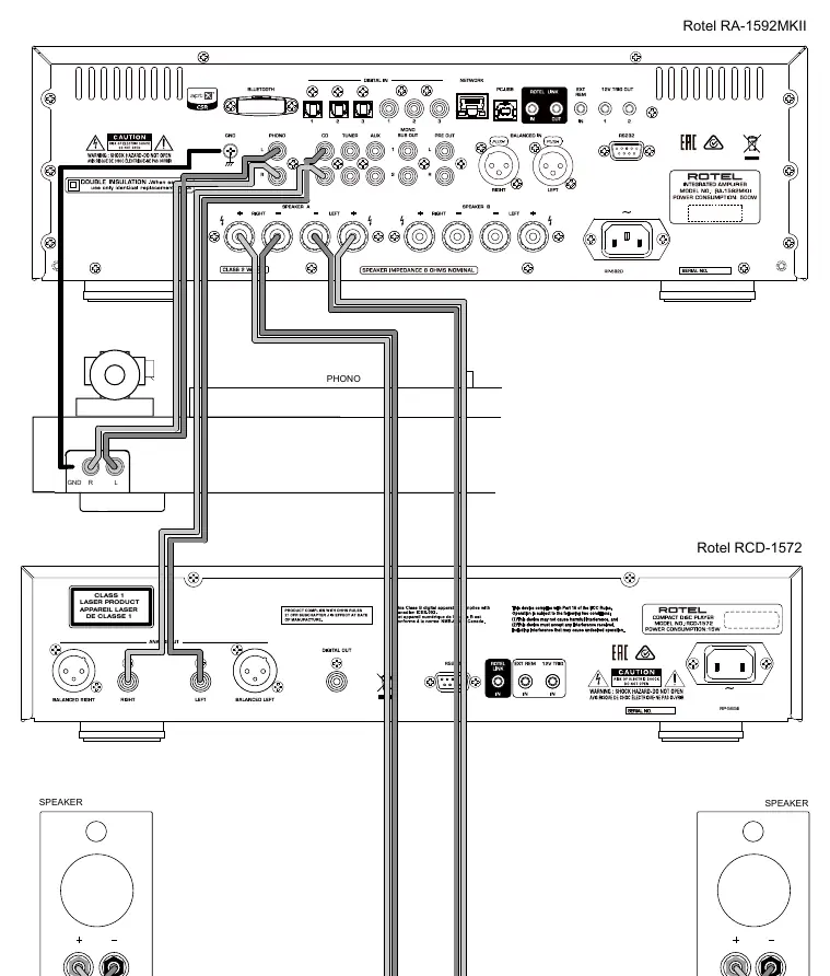 Analog input and speaker output connections