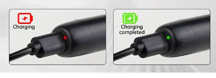 Charging status indicators