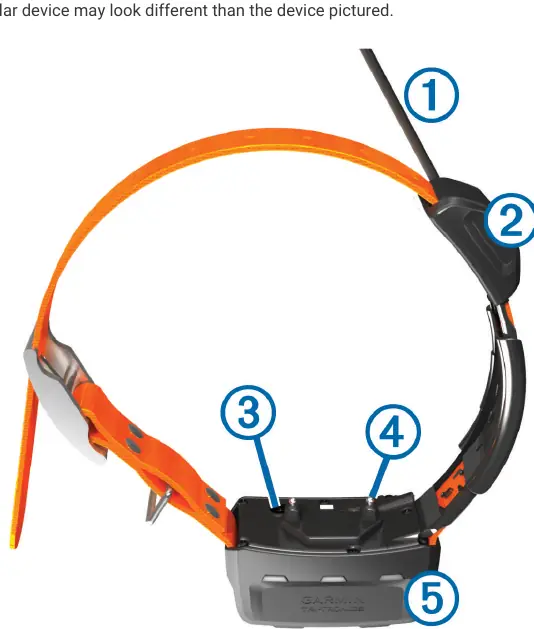 Dog collar device components