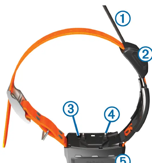 Dog collar device components