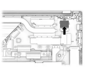 Fan removal