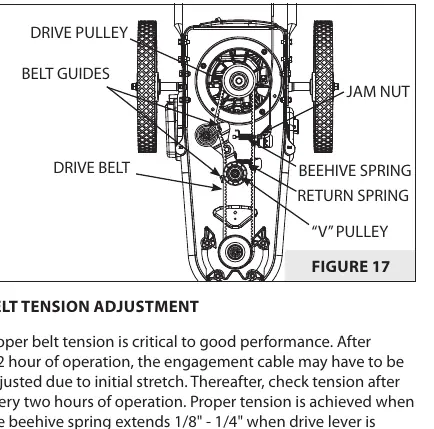 Drive belt and tension components
