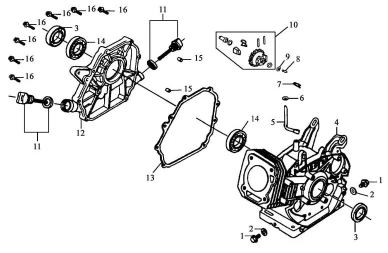 Crankshaft case assembly