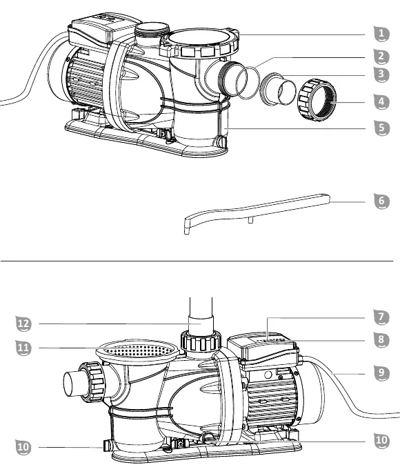 Exploded view of the filter pump components