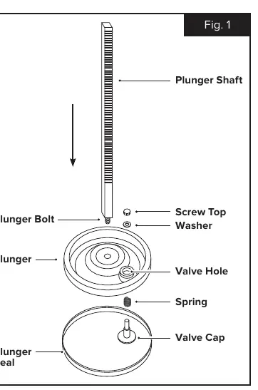 Plunger Assembly